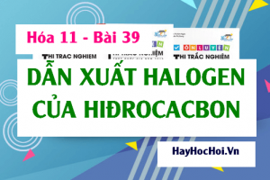Dẫn xuất Halogen của Hiđrocacbon tính chất hóa học, tính chất vật lý của dẫn xuất Halogen - Hóa 11 bài 39